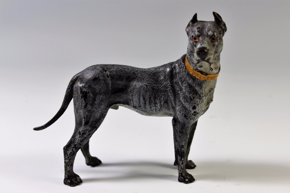 large great dane cold painted bronze early 20th century